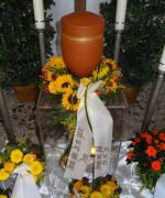 DSC01216.JPG